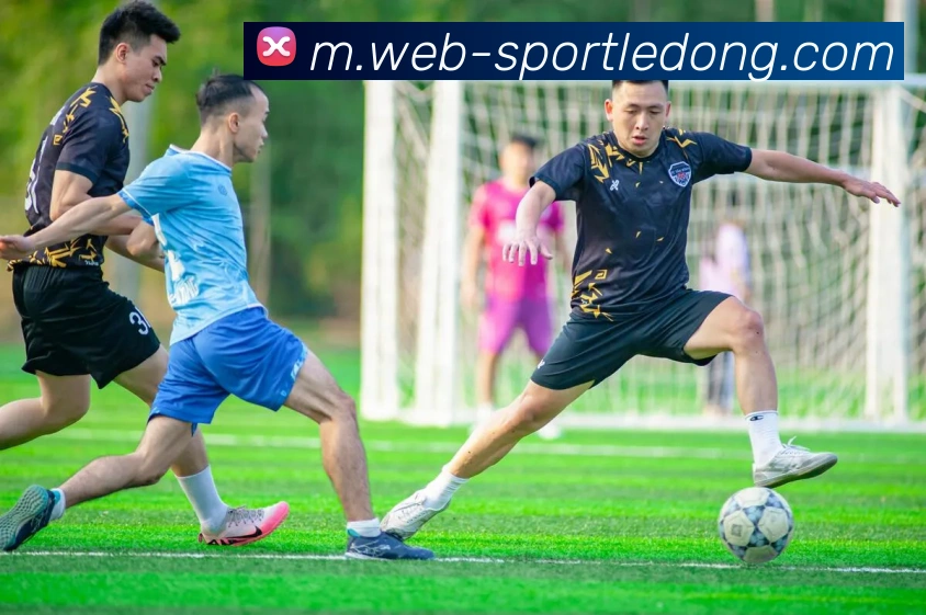 乐动体育服务体系