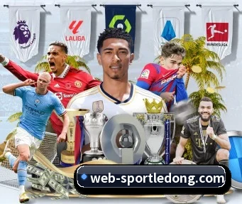 乐动体育 APP | LDSPORTS
